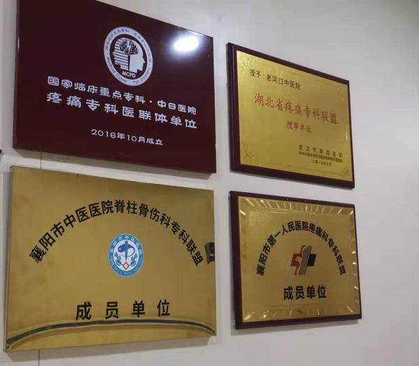 下图为老河口市中医医院疼痛科支持单位铜牌.案例说明